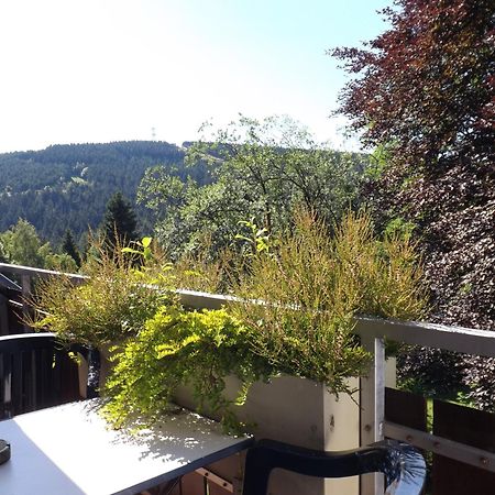 Residenz Bocksberg-Blick & St. Florian Villa Goslar Exterior foto